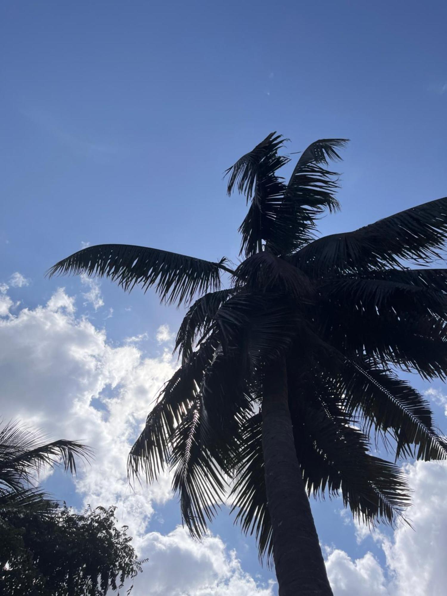 Crystal Bay Hotel Arugam Bay Bagian luar foto