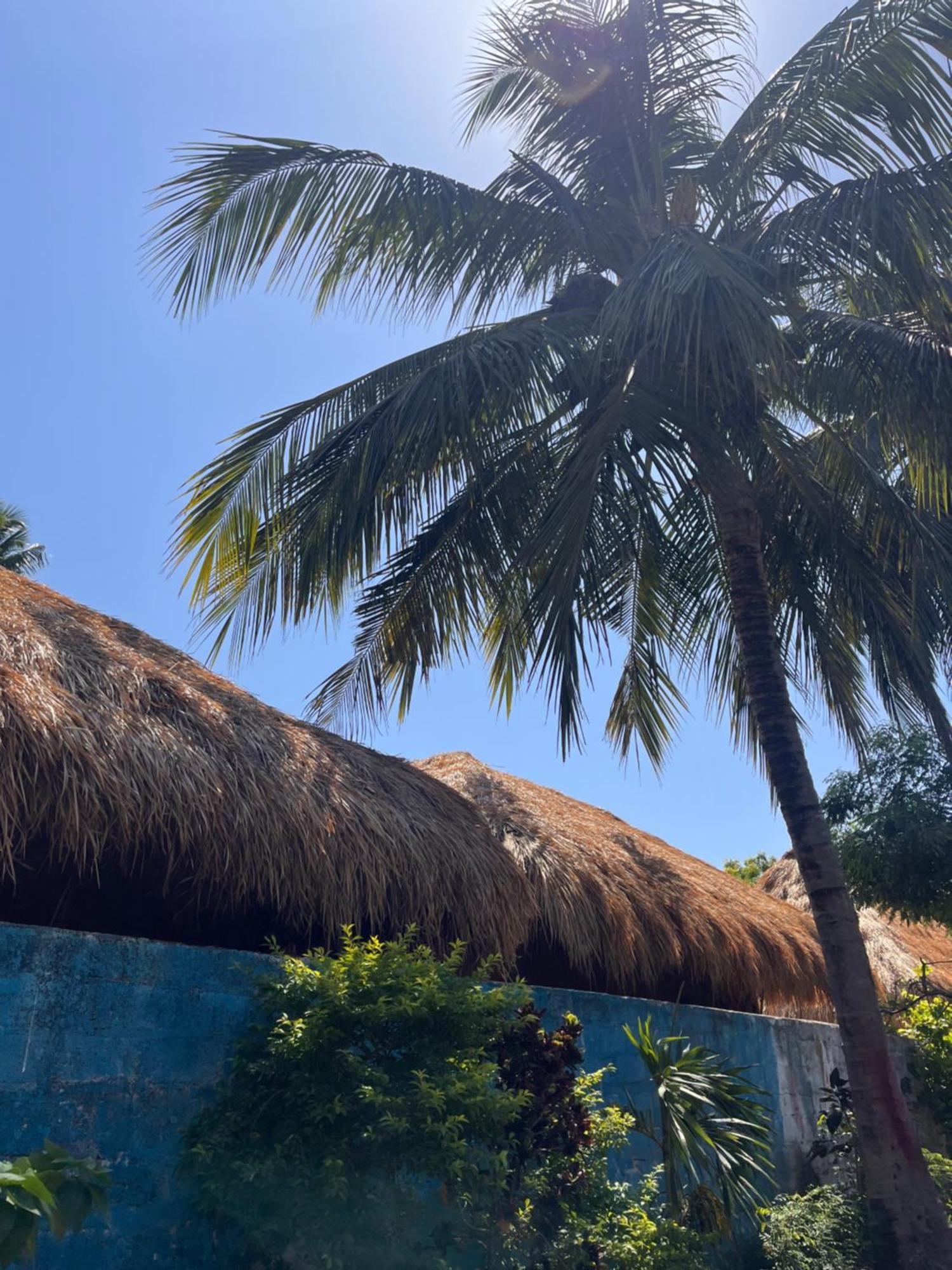 Crystal Bay Hotel Arugam Bay Bagian luar foto
